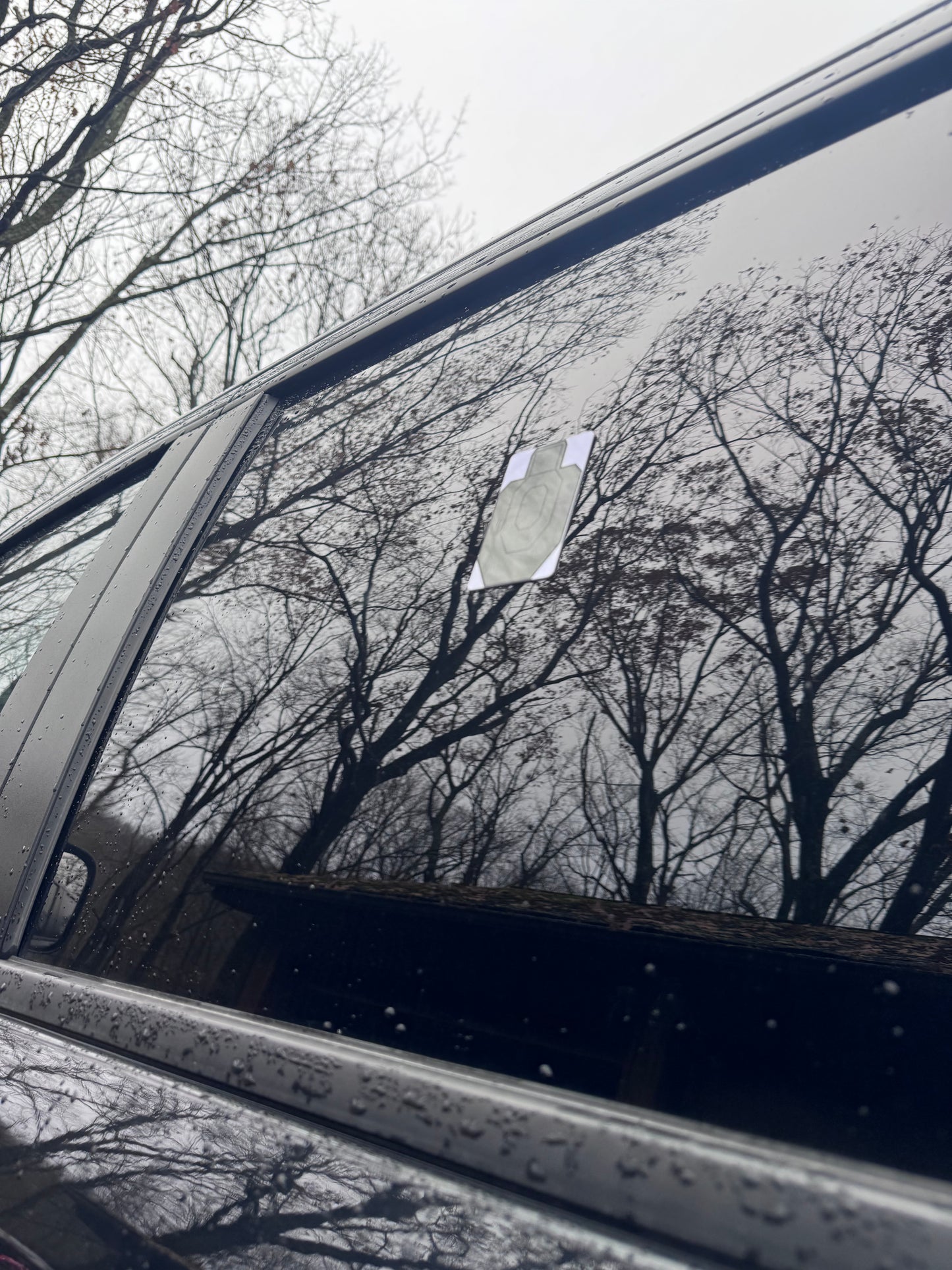 Wolf Gray CC-IPSC Edition (limited run of 10)